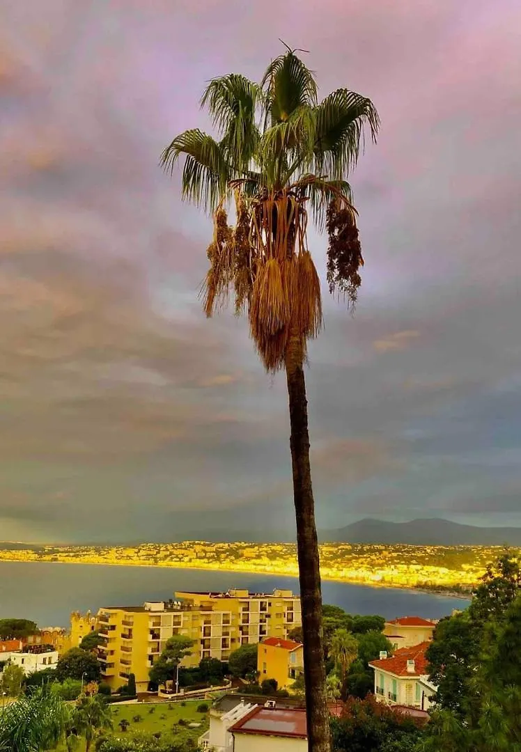 Apartment Villa Vistamar Appartement Avec Terrasse & Vue Mer Nice France
